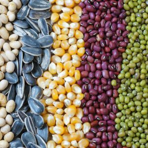 Makinë automatike e paketimit të farërave